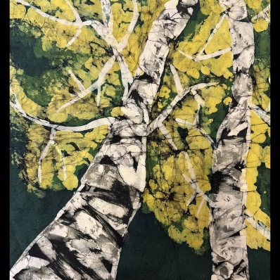 Congressional Art Exhibit